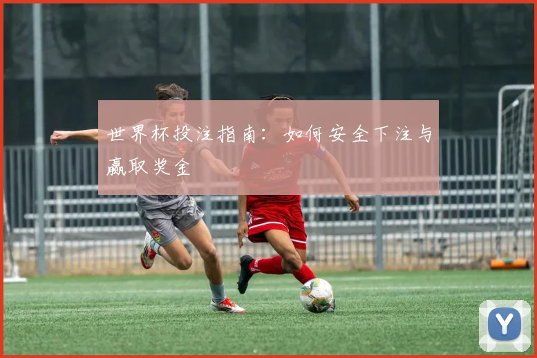 世界杯投注指南:如何安全下注与赢取奖金